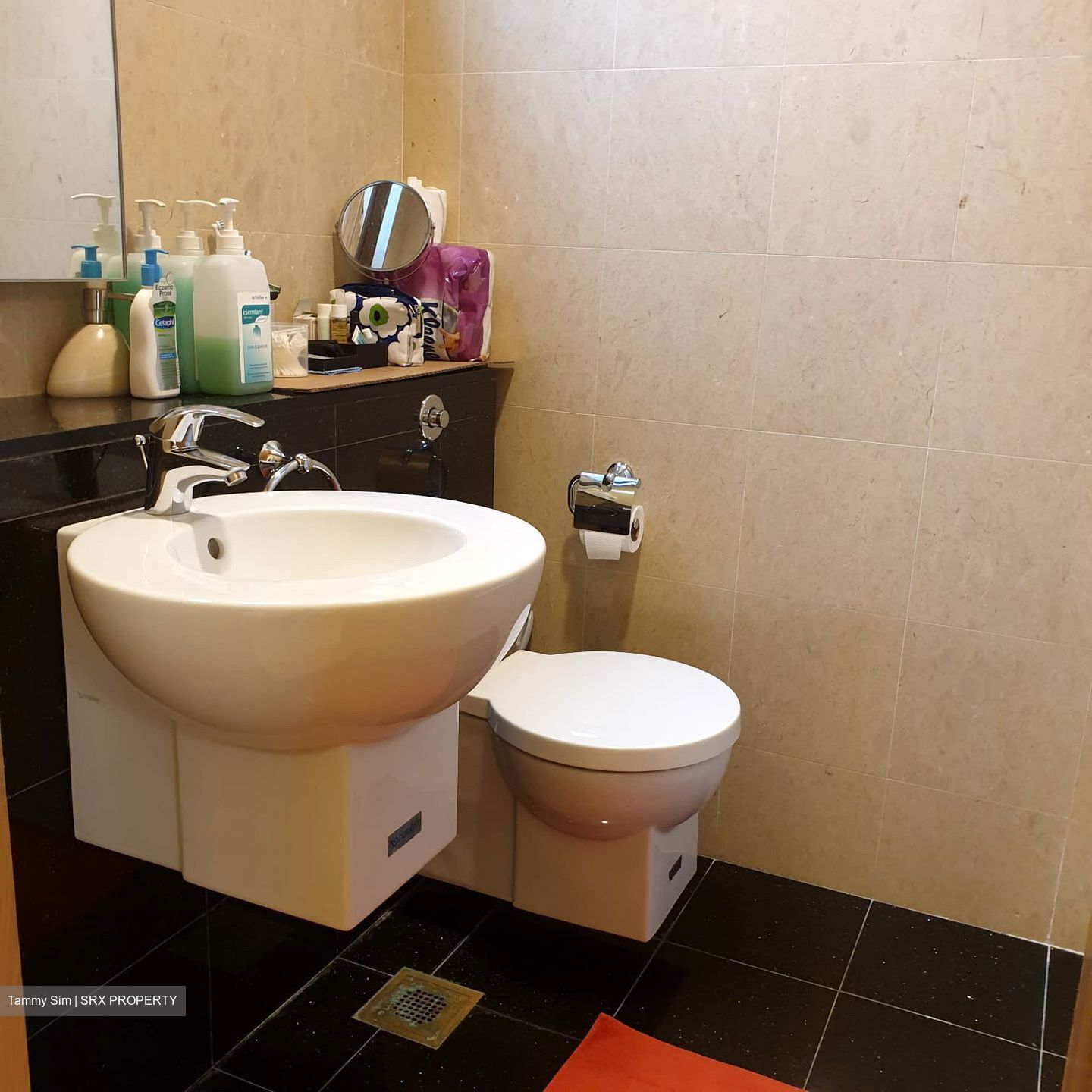 St. Martin Residence (D10), Condominium #348888841